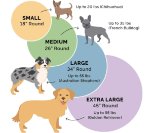 Sizing Table According to Dog Weight