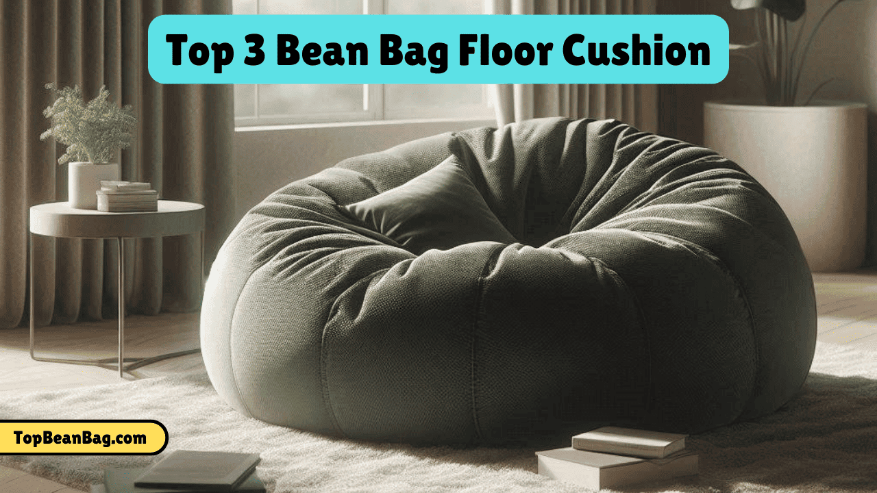 Bean Bag Floor Cushion