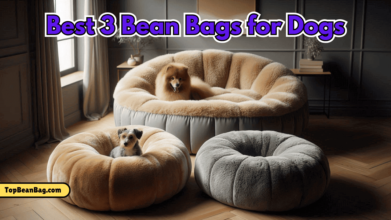 Bean Bags for Dogs